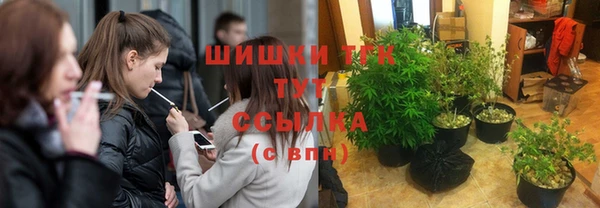 прущие грибы Семёнов