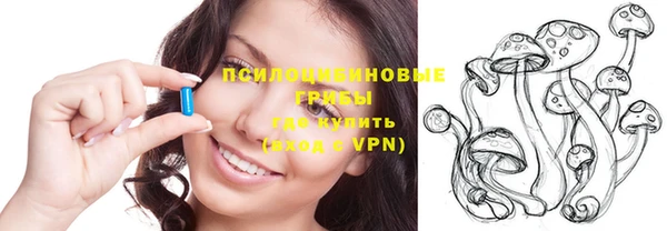 прущие грибы Семёнов