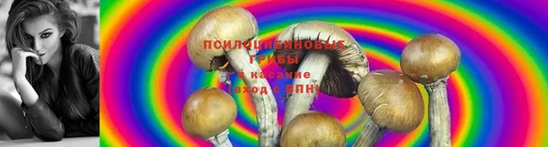 гидропоника Семикаракорск