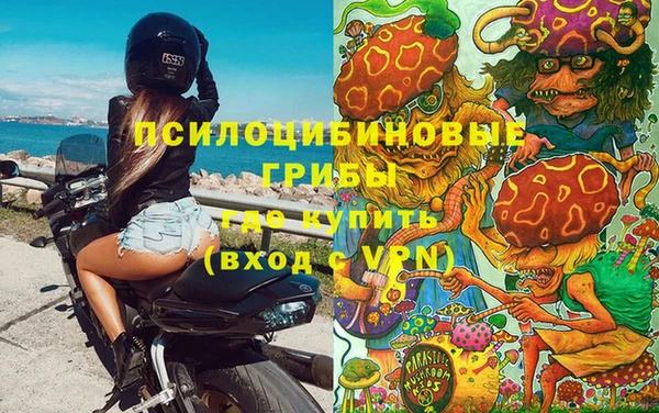 прущие грибы Семёнов