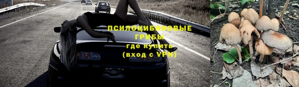 ECSTASY Семилуки