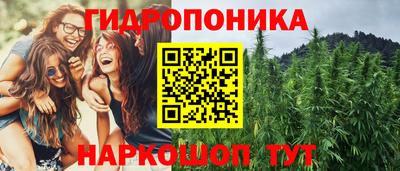 apvp Балашиха