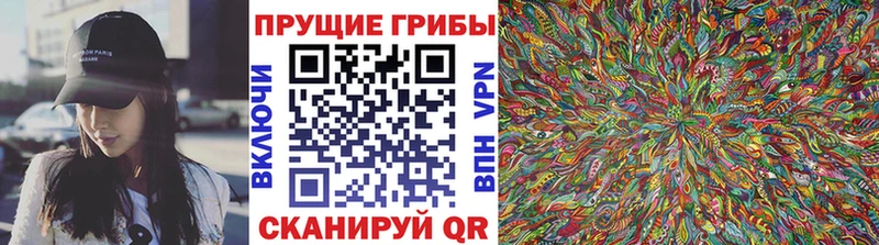 наркошоп  Большой Камень  blacksprut ссылка  Галлюциногенные грибы Cubensis 