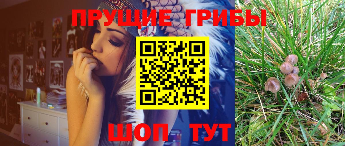Псилоцибиновые грибы MAGIC MUSHROOMS  Большой Камень 