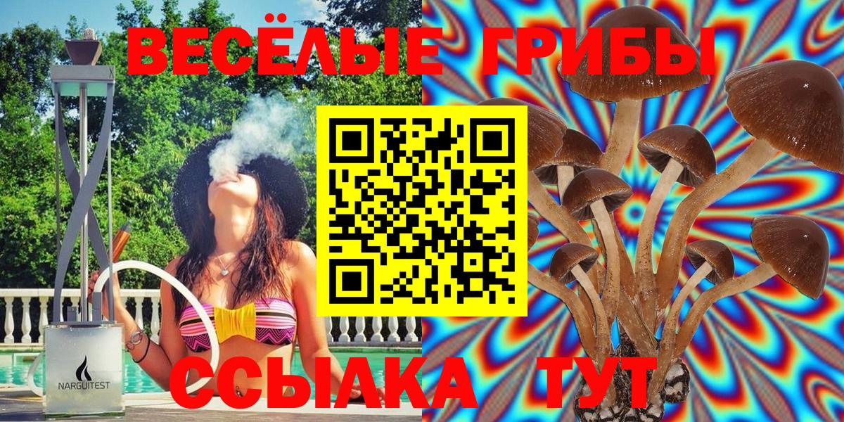 Галлюциногенные грибы MAGIC MUSHROOMS Большой Камень